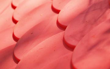 Fivelanes plastic roof costs